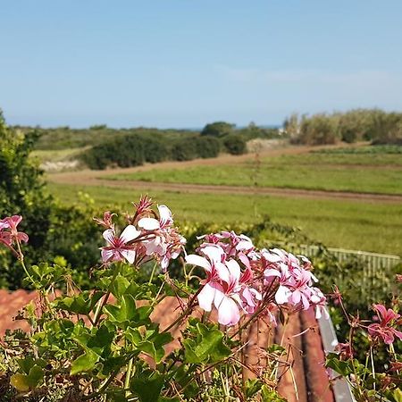 Villa Rosamarina Rosa Marina Buitenkant foto