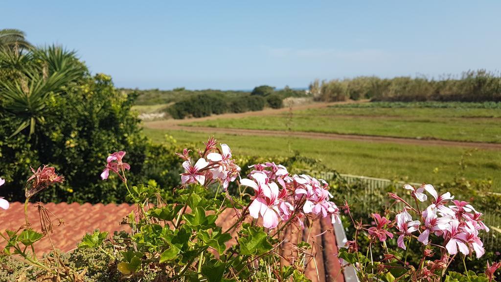 Villa Rosamarina Rosa Marina Buitenkant foto